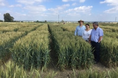 35. Ensayos Tejada en abril