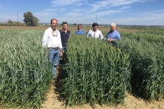 36. Visita Agrovete
