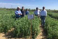 37. Con Agrovete en LEGATO