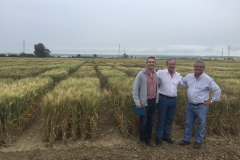 38. Visita Karim Ammar