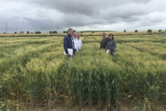 40. Con Don Ricardo en Tejada