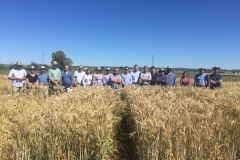 48. Visita Cocereales