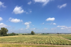 49. Ensayos en Campo de Tejada
