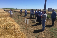 53. Bandas comerciales