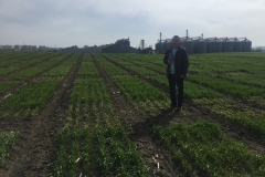 01. Ensayos en enero