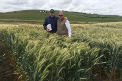 16. Con Karim y triticale