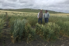 20. Leyendo diferenciales.