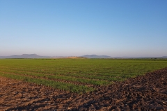 01. Ensayos naciendo en Conil