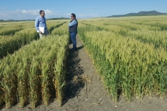 13. Con Paco Leal en ensayos Conil