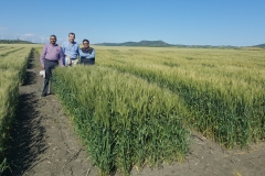 14. Visita de Ravi Singh a ensayos Conil