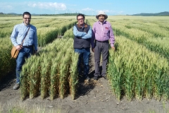 15. Con Ravi Singh en Conil