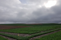 04. Durante las lluvias