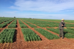 14. Visita de Antonio Martin a Ecija