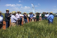 35. Francisco explica ensayos Ecija