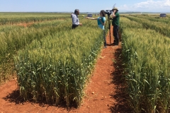 40 Entrevista a Ravi Singh