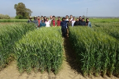 08. Visita ETSIAM
