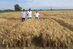 28. Visita responsables Grupo Siro