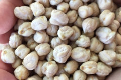 33. ITUCI