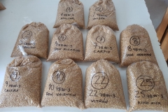 35. Muestras Grupo Operativo TRIDURAND