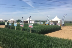 1. Agrovegetal n GENVCE 2018