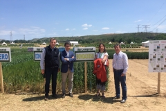 4. Visitas en GENVCE