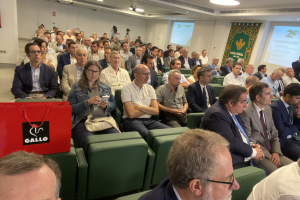 08.-Publico-asistente-25-aniversario