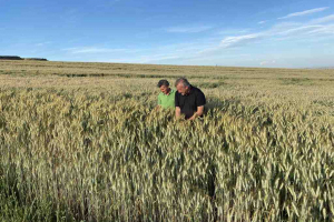 16.-Produccion-de-Bondadoso-para-CAYCSA