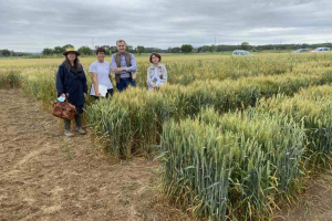 20.-Diferenciales-de-roya-en-Mas-Badia