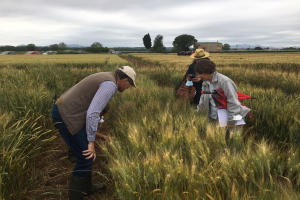 21.-Leyendo-diferenciales-de-roya