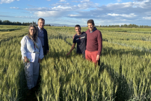 08.-Con-mejoradores-en-IRTA