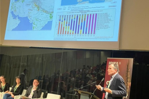 19.-Intervencion-sobre-royas