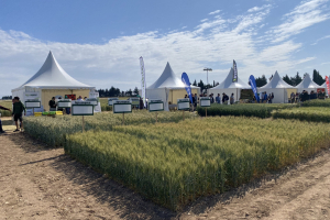 23.-Agrovegetal-en-jornada-de-campo