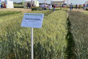 26.-Parcela-de-Don-Ricardo