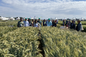 29.-Tecnicos-en-ensayos