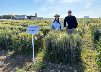 14.-Visita-a-IRTA-Lleida