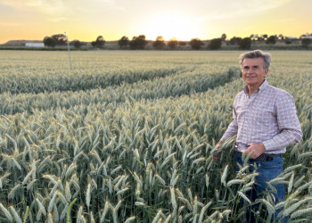 20.-Multiplicacion-de-RUMBOSO