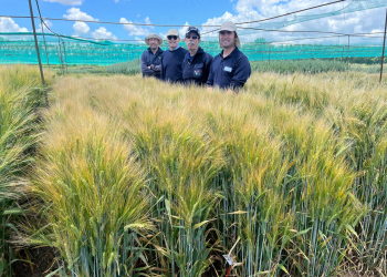 01.-Equipo-del-INIA-en-Aranjuez