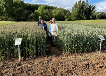 09.-Con-responsables-de-AGROSA