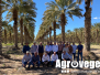 CIMMYT