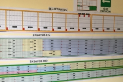 01.-Plano-de-ensayos-trigo-duro
