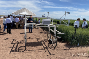 03.-Carro-de-fenotipado