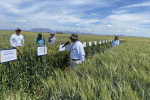 04.-Julio-Huerta-explica-sus-trabajos