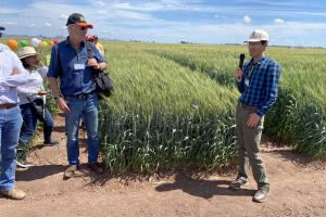 05.-Wolfgang-Pfeiffer-atento-a-las-explicaciones