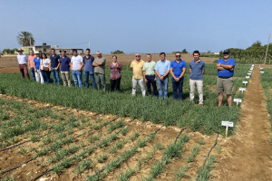 12.-Visita-de-tecnicos-a-la-contarestacion-