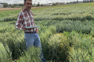 17.-Test-de-roya-en-agosto