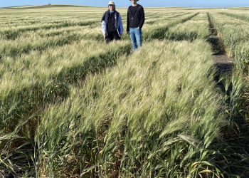 02.-Visita-seleccionadores-del-IRTA