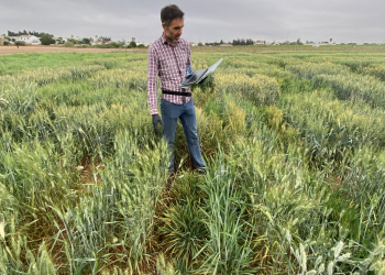 13.-Tomando-datos-de-roya