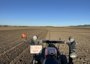 01.-Conil-ensayos-siembra