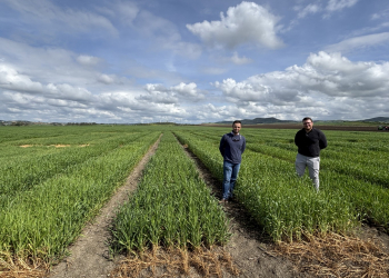 04.-Ensayos-en-febrero