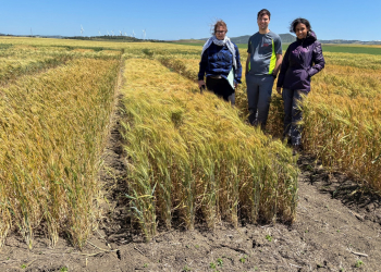 18.-Visita-del-IRTA-el-dia-del-apagon